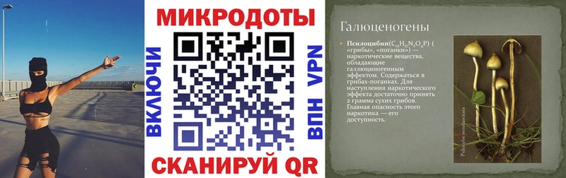 Галлюциногенные грибы ЛСД  Купить  Туймазы 
